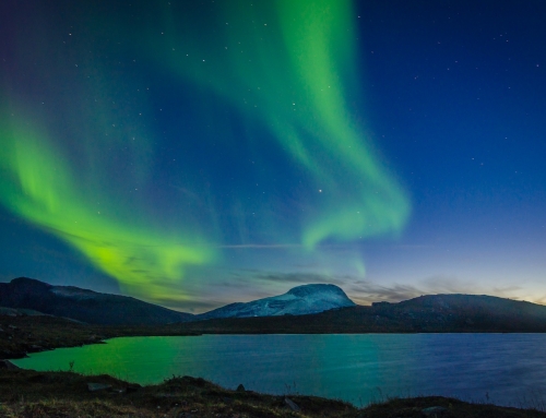 LAPPONIA fra aurora boreale, renne e Babbo Natale