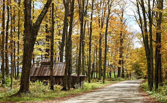 New England