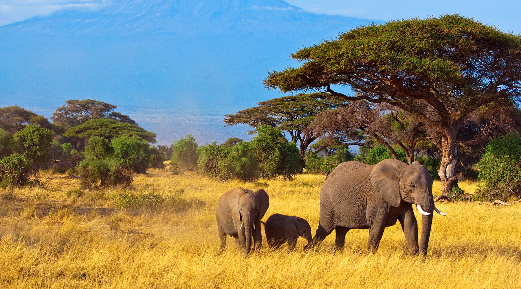south-africa-hero-1800x1000-1