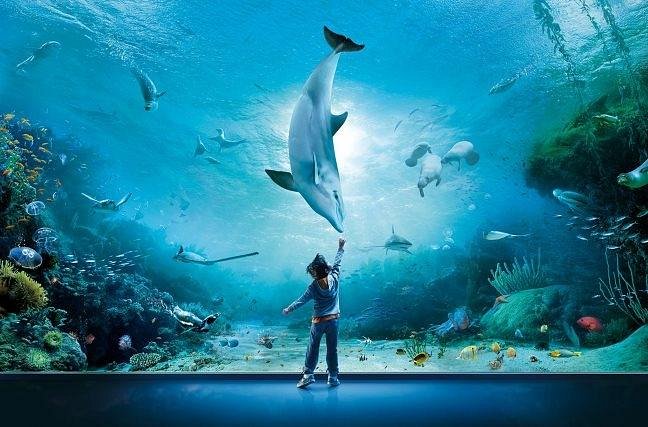 acquario-di-genova