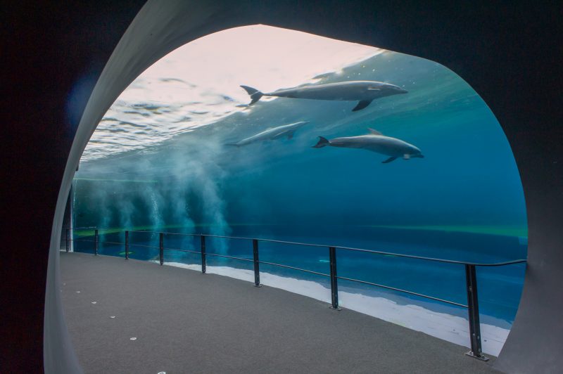 acquario-di-genova_gqbg9z