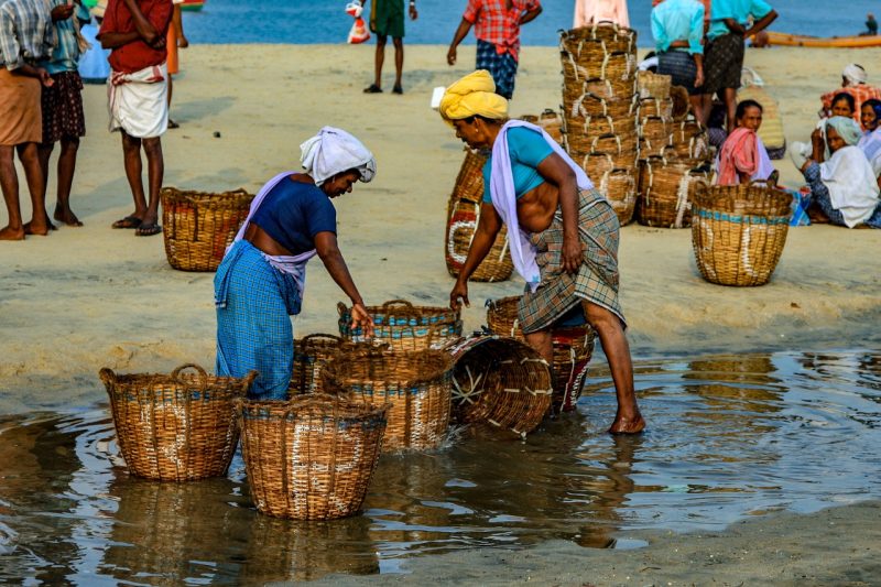 fish-market-6538202_1280