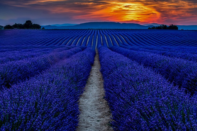sunset-6007980_640