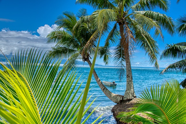 tahiti-5792933_640