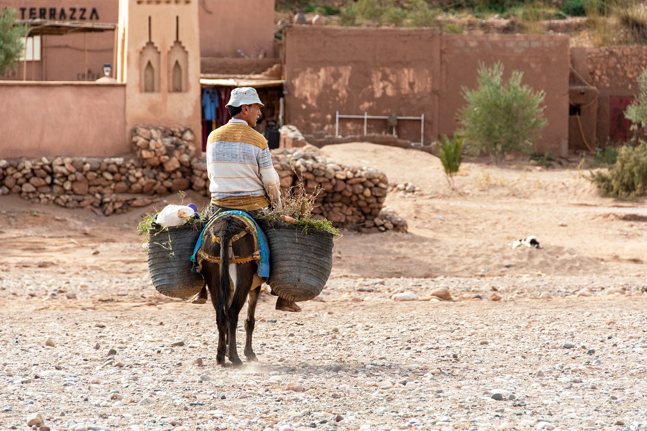 Marocco