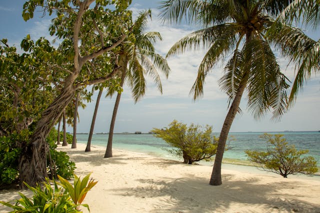 Tanzania