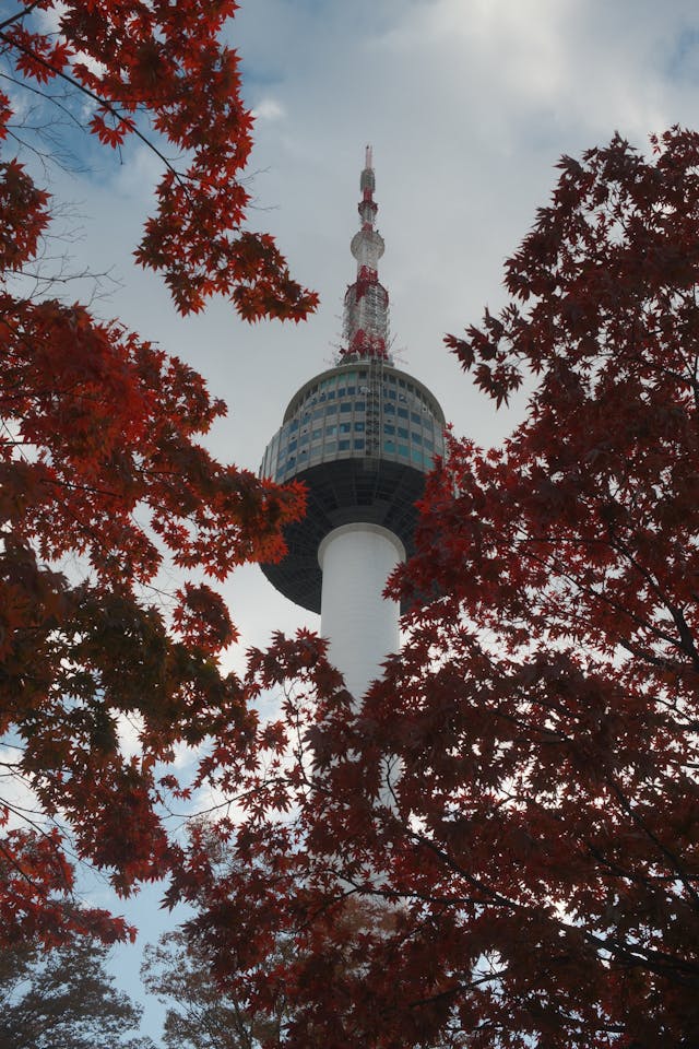 Corea