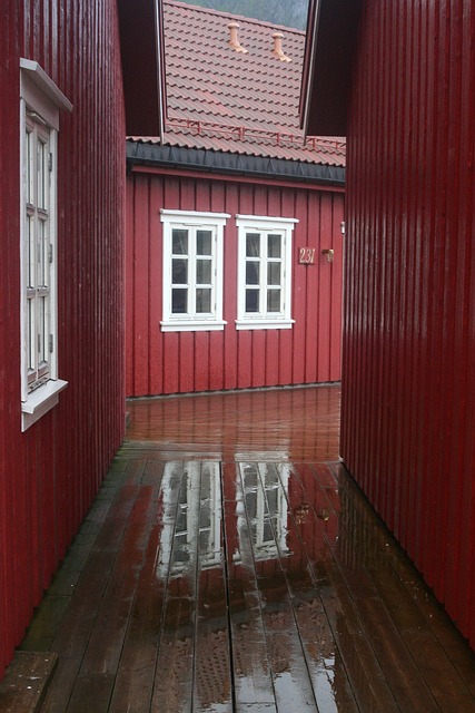 Lofoten