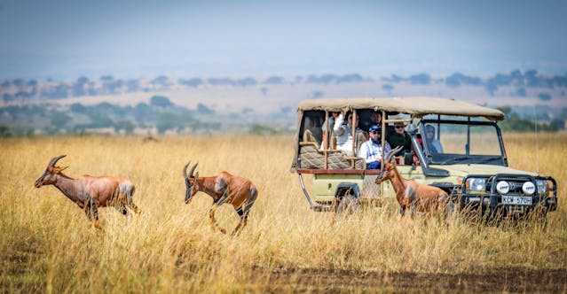 Africa: Auto da safari con turisti che osservano gli animali nel loro habitat.
