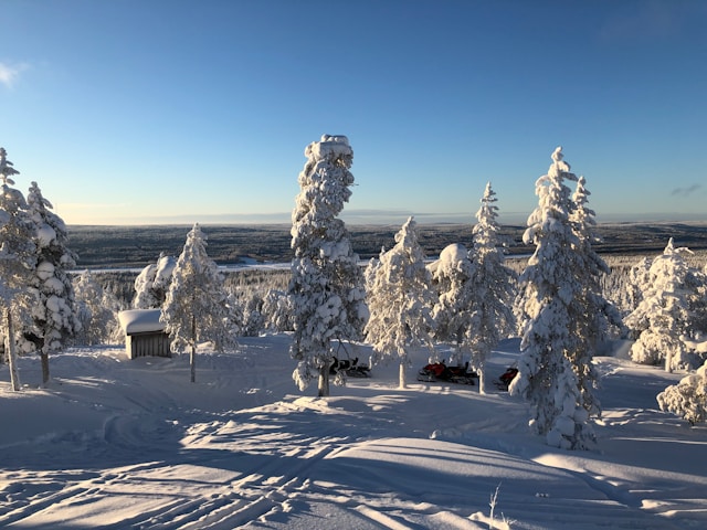 Lapponia