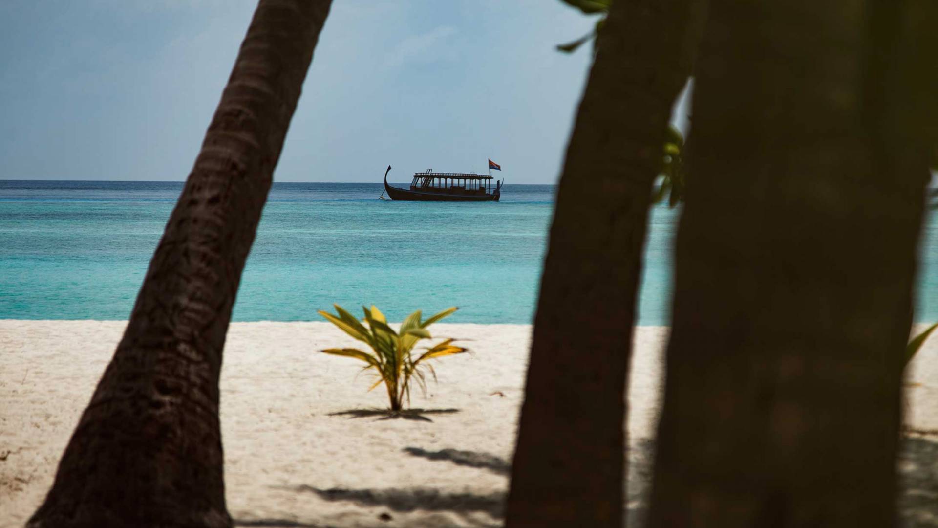 Maldive