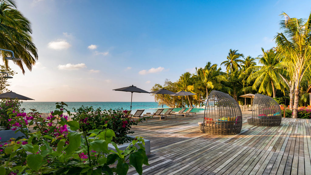 Maldive