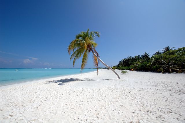 Maldive
