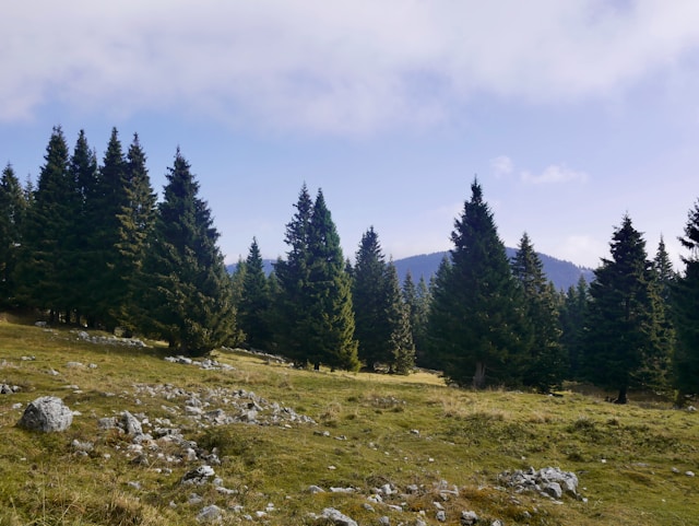 stefano-segato-zIWpdIgtIMA-unsplash