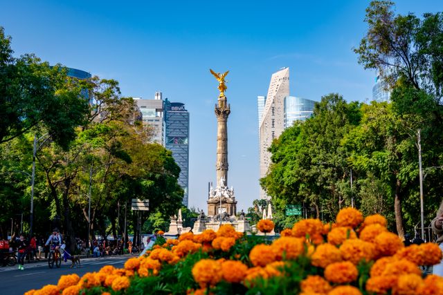 pexels-oscar-dominguez-227264793-14170472