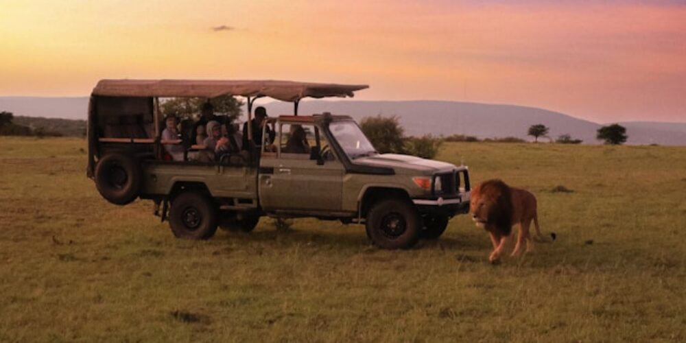 africa