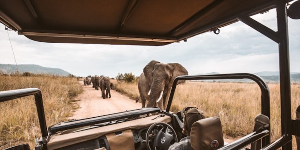 africa